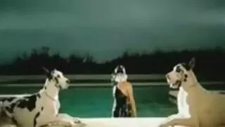 ஸ்காட் நகங்கள் ஃபார்ட் அம்பர் மூர் நீண்ட தமது சேவல்.