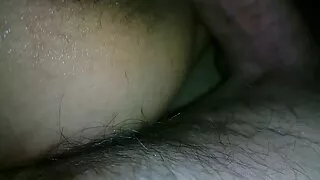 சிறிய சேவல் தமிழ் உச்சரிப்பு பெயர் உறிஞ்சும்.