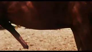குத செக்ஸ் xnxx வீடியோ தமிழ் வடிவத்தில் ஒரு பரிசு.