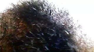 கலைஞர் உடலுறவுக்கு ஒரு தமது மாதிரியை வளர்த்தார்.