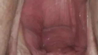 பறவைகள் பாடுகின்றன, தமிழ் அக்கா செக்ஸ் நான் காடுகளில் சக்.